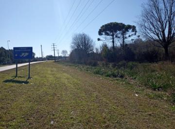 Terreno , Pilar · 6, 45 Hectáreas Sobre Ruta 28 - Frente a Cenotafio de Las Malvinas - Pilar