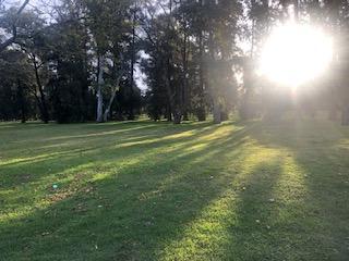 Terreno , Tigre · Lote en Venta - en Pacheco Golf Club Cc - Al Golf