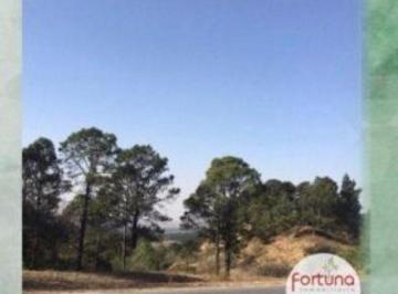 Terreno 10000m² Venta  · Venta de Lote de Terreno Comercial en Potrero de Garay - Tlc0443