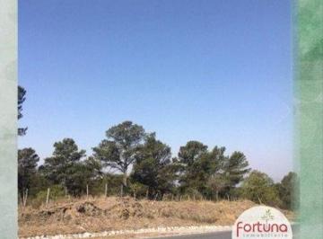Terreno , Los Reartes · Venta de Hectárea Comercial en Potrero de Garay - Tlc0442