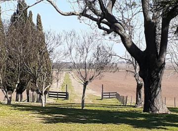 Campo · 200m² · 5 Ambientes · Pintoresco Campo con Casco Antiguo