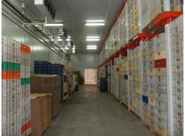 Bodega-Galpón · 1080m² · 6 Cocheras · Excel. Edificio Industrial / Deposito. S/lote Ppio.16x65.