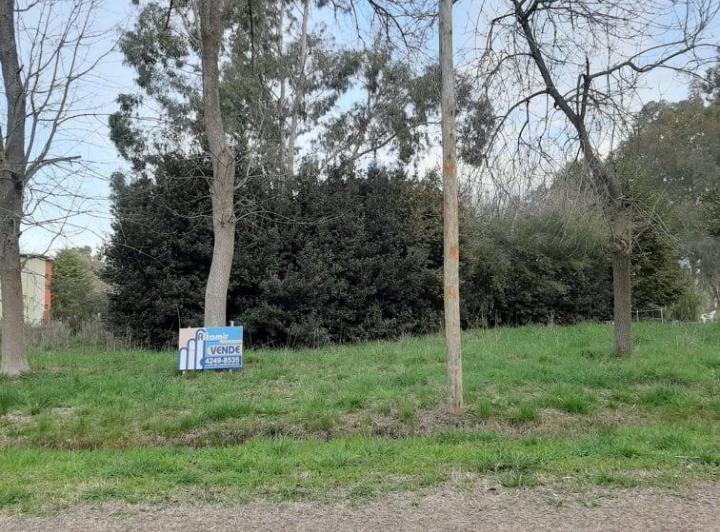 Terreno · 2600m²