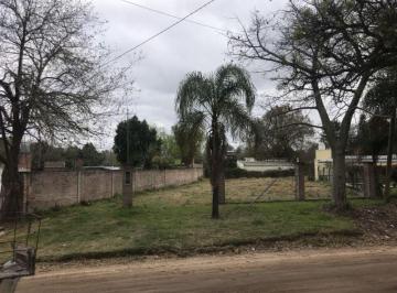 BCK-BCK-54_2 · Lote. | Los Guayacanes