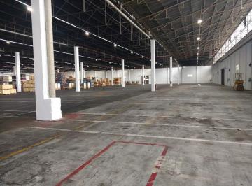 Bodega-Galpón · 2400m² · Modulos Desde 2400 m² a 6000 m². Predio Cerrado