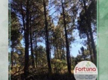 Terreno Venta USD 48.000 · Venta de Hectárea en Potrero de Garay - Tlc0355