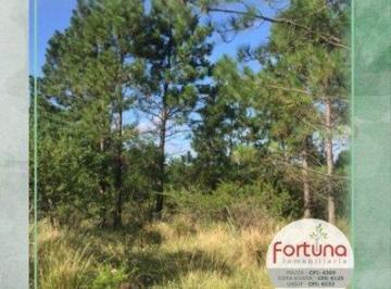 Terreno , Intiyaco · Venta de Hectárea ¡Gran Oportunidad! - Tlc0371