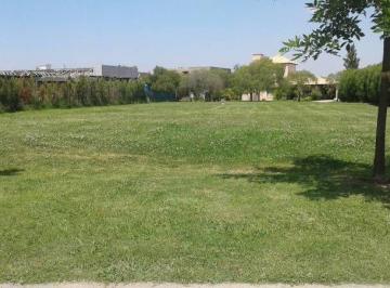 LHP-LHP-281_2 · Oportunidad! Lote Interno - Santa Catalina - Villanueva