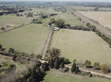 Campo de 5 ambientes, Exaltación de la Cruz · Lindisima Chacra de Polo Entre Los Cardales y Capilla del Señor - 21 Hectáreas