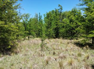 Terreno · 21979m² · 21.979 m² Sobre Ruta en San Huberto, Nono (Oportunidad - Retasado)
