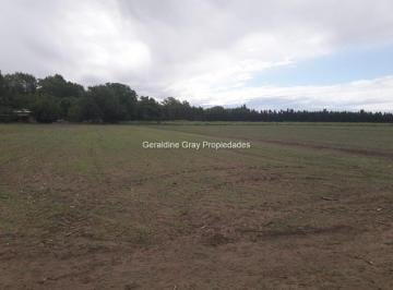 Campo · 240000m² · Chacra en Venta de 24 Has en Allen