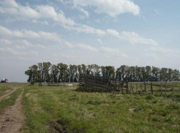 NNI-NNI-874_2 · Campo en Cañuelas