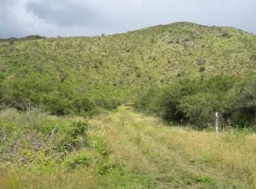 Campo , Cosquín · Vendo 82 Has en Cosquín Pegado Al Pan de Azúcar a 2 Km del Centro - Mucha Agua
