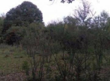 Terreno , Villa General Belgrano · Venta de Lote en Villa General Belgrano - Tlc0215