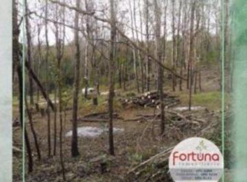 Terreno Venta USD 26.300 · Venta de Lote en Yacanto de Calamuchita - Tlc0396