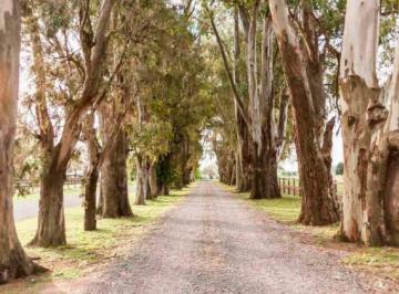 Terreno · 1009m² · Excelente Lote de 1000 m² a La Venta en Fincas Exclusivas Cardales