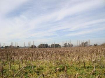 Campo · 120m² · 4 Ambientes · Campo - Capilla del Señor