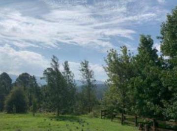 Terreno · 10389m² - Fortuna Inmobiliaria · Venta de 1 Hectárea en Las Cañitas en Villa Berna - Tlc0289