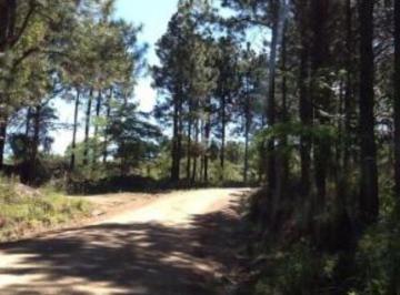 Terreno · 1000000m² · Venta de 100 Hectáreas en Villa Berna - Tlc0463