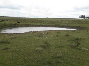 Foto1 · Campo 42 Has - Consulte!