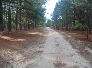 Terreno · 501m² · Terreno en Venta en Balneario Zagarzazú Carmelo