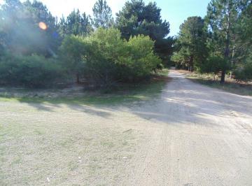 Terreno · 504m² · Terreno Arbolado en Venta en Balneario Zagarzazú Carmelo