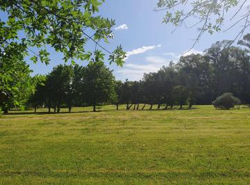 Terreno , Pilar · Último Lote 1000 m² Sobre Golf - Mayling Club de Campo