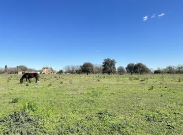 Terreno · 8023m² · Venta Terreno en Lobos, Lotes de Casi 1 Ha