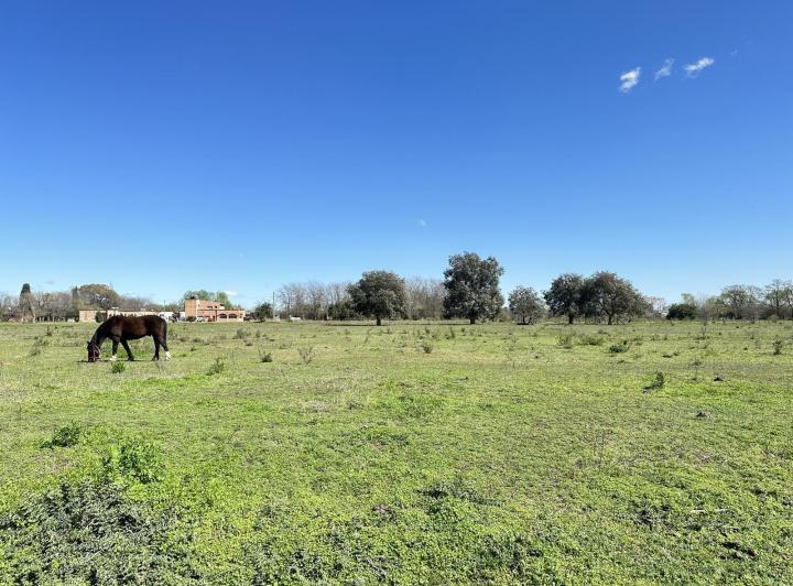 Terreno · 8023m²