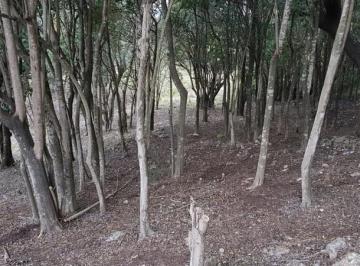Terreno · 998m² · Vendo Terreno de 1000 m en La Falda!imuy Buena Ubicación!