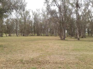 Terreno · 3000m² · Terreno Venta Chacras del Rincón. Timbúes