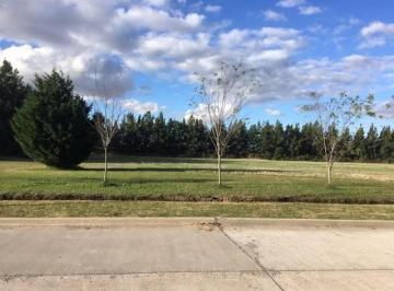 Terreno , Zárate · Terreno en Parque Industrial y Logistico Parana de Las Palmas (Zarate)