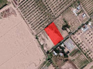 Terreno , Maipú · Terreno 5.000 m² - Rodeo del Medio - Maipu