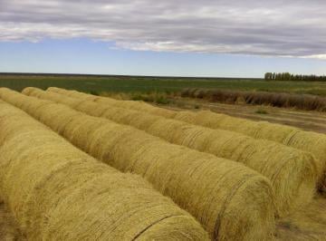 DKA-DKA-115_2 · Campo 280 Hectáreas |. | Ruta 57