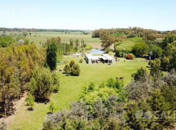 Campo · 46700m² · Chacra - Villa Ruiz