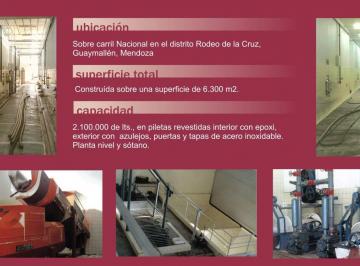 Bodega-Galpón , Guaymallén · Bodega 2.100.000 Lts en Venta - Rodeo de La Cruz, Guaymallen
