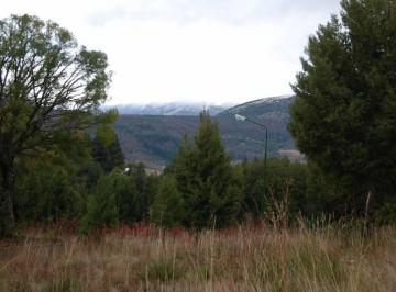 Campo · Venta 32 Ha en San Martin de Los Andes