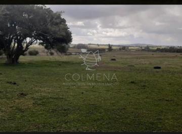 Foto1 · Campo 5 Has con Linda Casa a 25 Km de Punta del Este Consulte!