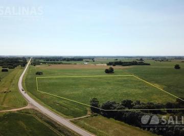 Campo · 100000m² · Chacra - San Antonio de Areco