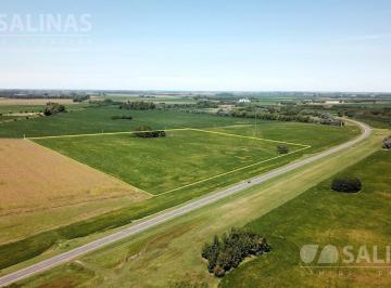 Campo · 150000m² · Chacra - San Antonio de Areco
