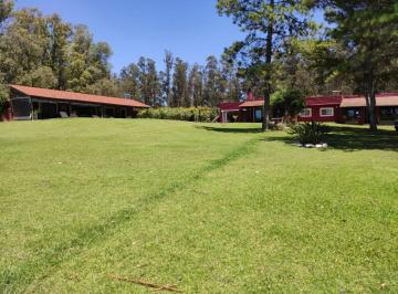 BPV-BPV-6309_2 · 6 Dorm. | Camino Medellin Ref: 6309