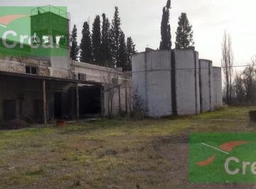 Campo · Chacra - Villa Regina