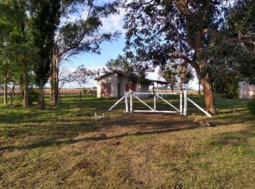 FAE-FAE-174_2 · Venta 73 Has Agricolas Gral Alvear Buenos Aires