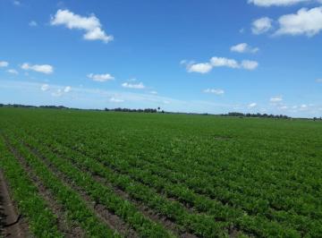 FAE-FAE-177_2 · 132 Hectáreas Agrícolas en Venta en Sierra de Los Padres