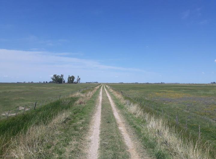 Campo · 1500m²