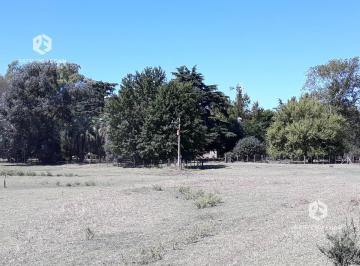 Campo · Campo - General Belgrano