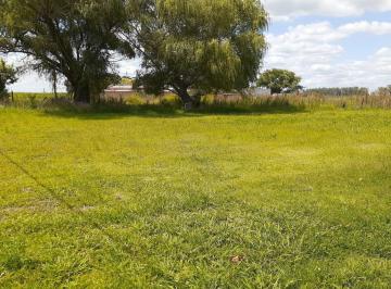 Terreno · 551m² · Terreno - Gahan