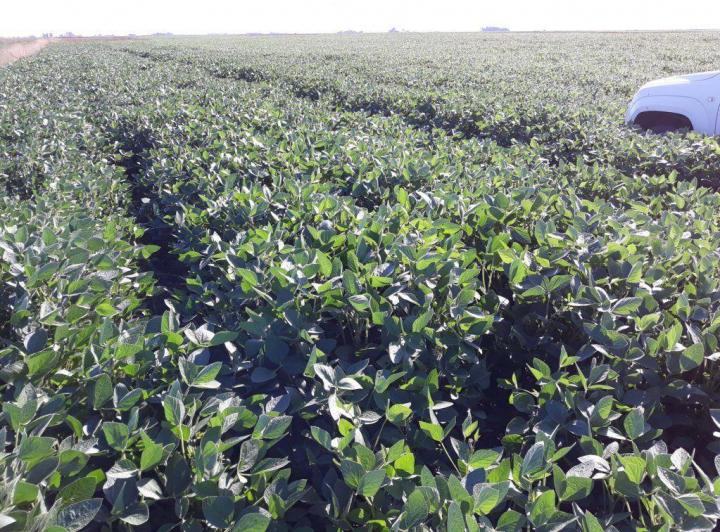 Campo · 1060m²