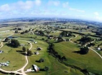 BPV-BPV-6374_2 · Lote | Camino Eguzquiza