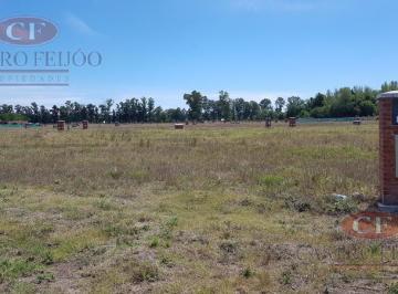 Terreno · 466m² · Venta de Terreno 466 m² - Presidente Derqui